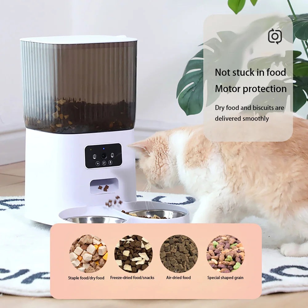 Smart Automatic Feeder for Cats – With or Without Camera