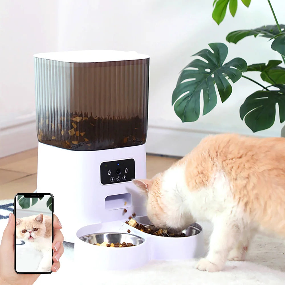 Smart Automatic Feeder for Cats – With or Without Camera